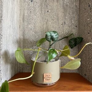 Leather Handcrafted “Seymour” Propagation Vase